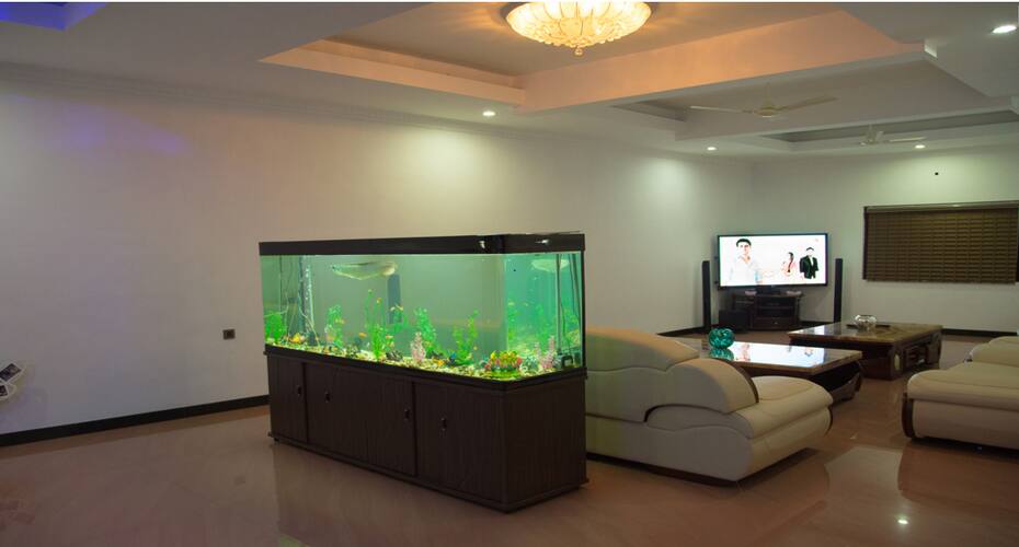 Tinton River Palms, Udupi 2